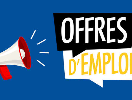 Offres d'emploi