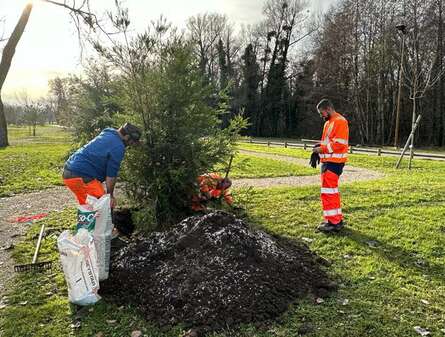 Programme plantation de 1 500 arbres